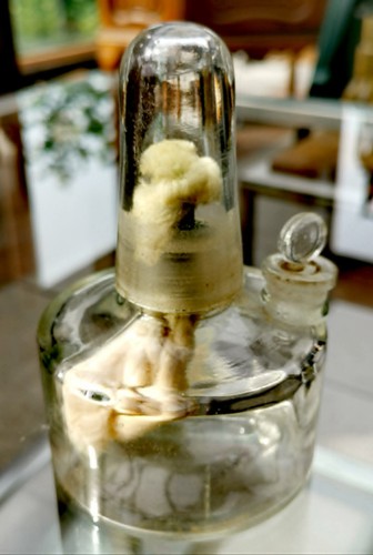 Apotheker spiritusbrenner - -,