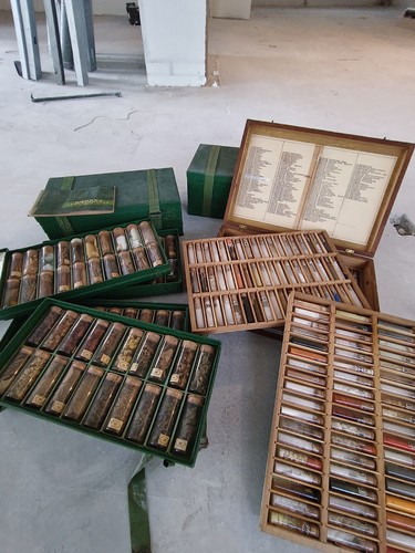 Antike apotheker lehrsammlung - antike,